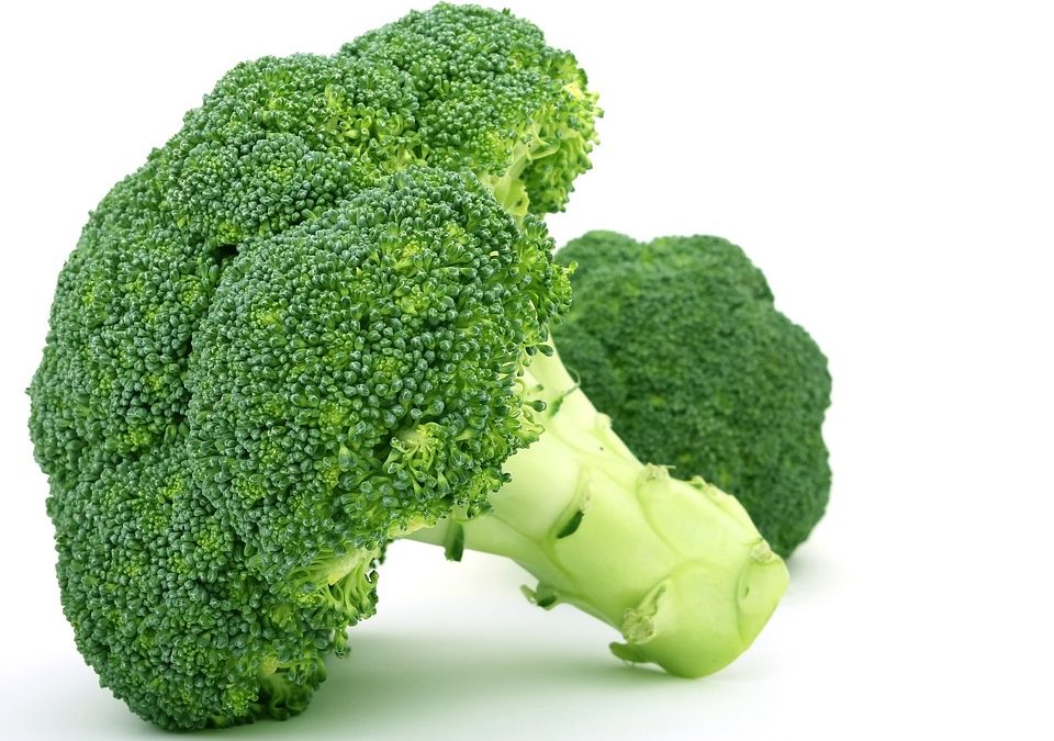 Brocoli contre le cancer : l&rsquo;importance de la préparation