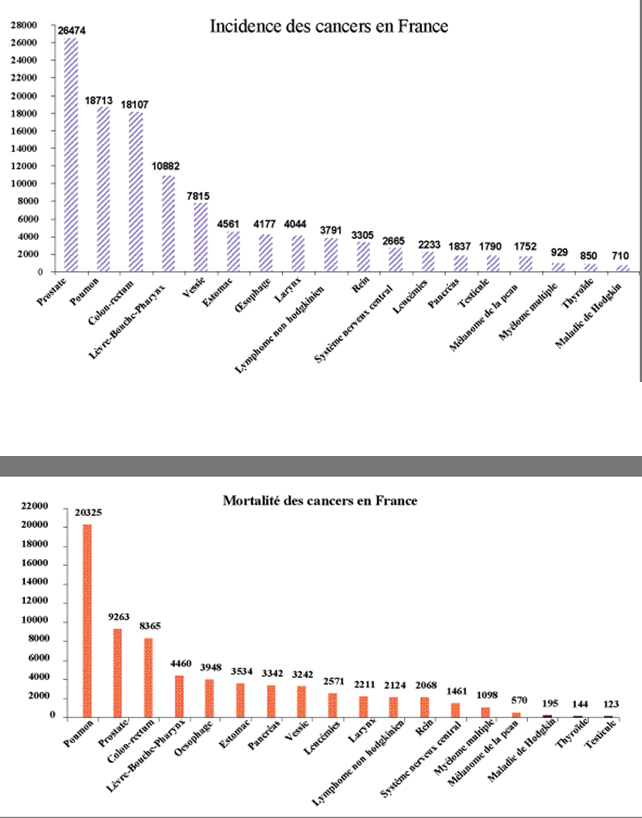 Incidence et mortalité des cancers en France