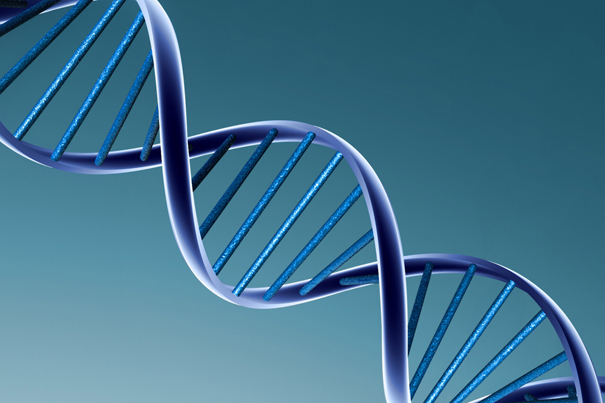 Le score de risque génétique dans l&rsquo;arsenal de dépistage du cancer prostatique