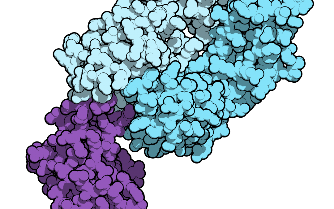 Cancer du rein : un anticorps anti-PD1 augmente la survie