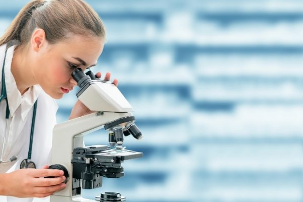 Nouvelle découverte pour prédire l’efficacité des traitements d’immunothérapie contre le cancer du rein