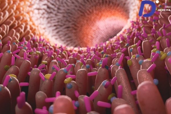 Un lien entre le microbiome intestinal et le cancer de la prostate agressif?