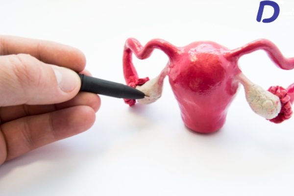 Vasectomie : le nouveau facteur de risque du cancer de la prostate