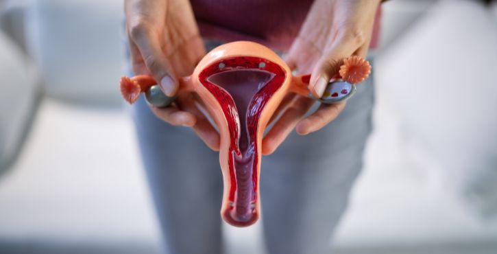 Syndrome Génito Urinaire de la femme bénéfices rééducation périnée